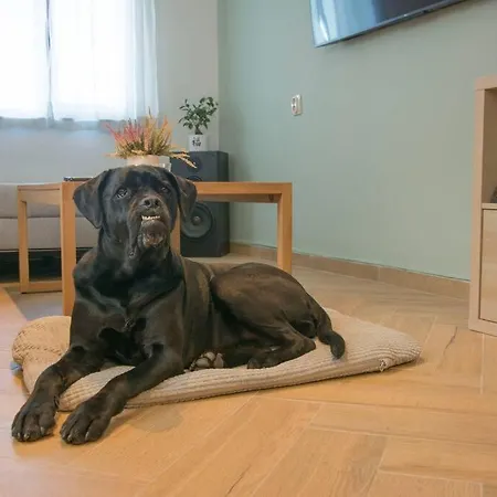 Green Villa Saparevo