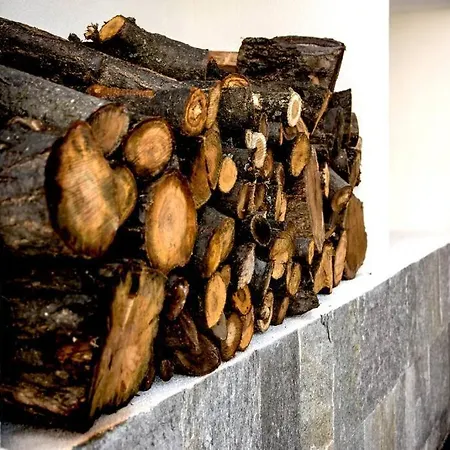 Green Villa Σπίτι διακοπών Saparevo