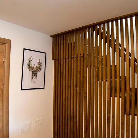 度假居 Green Villa Saparevo
