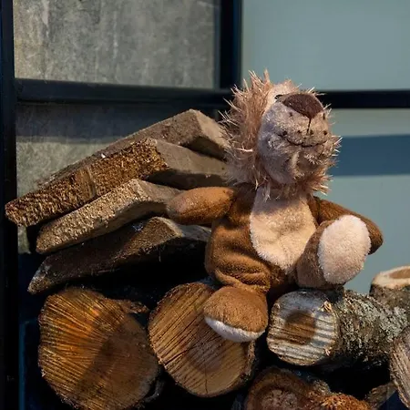 Green Villa Σπίτι διακοπών Saparevo