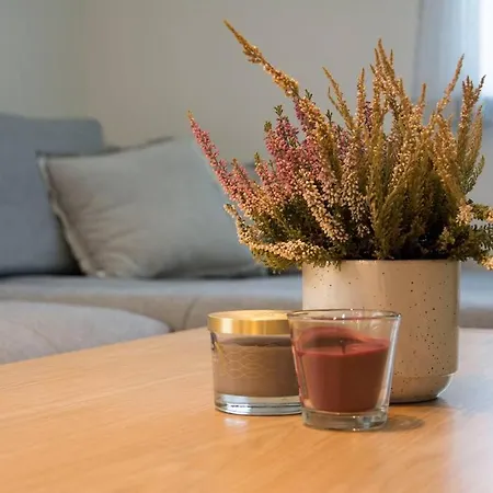 Green Villa Casa de Férias Saparevo