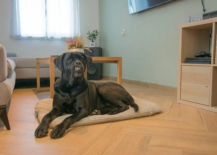 Green Villa Saparevo